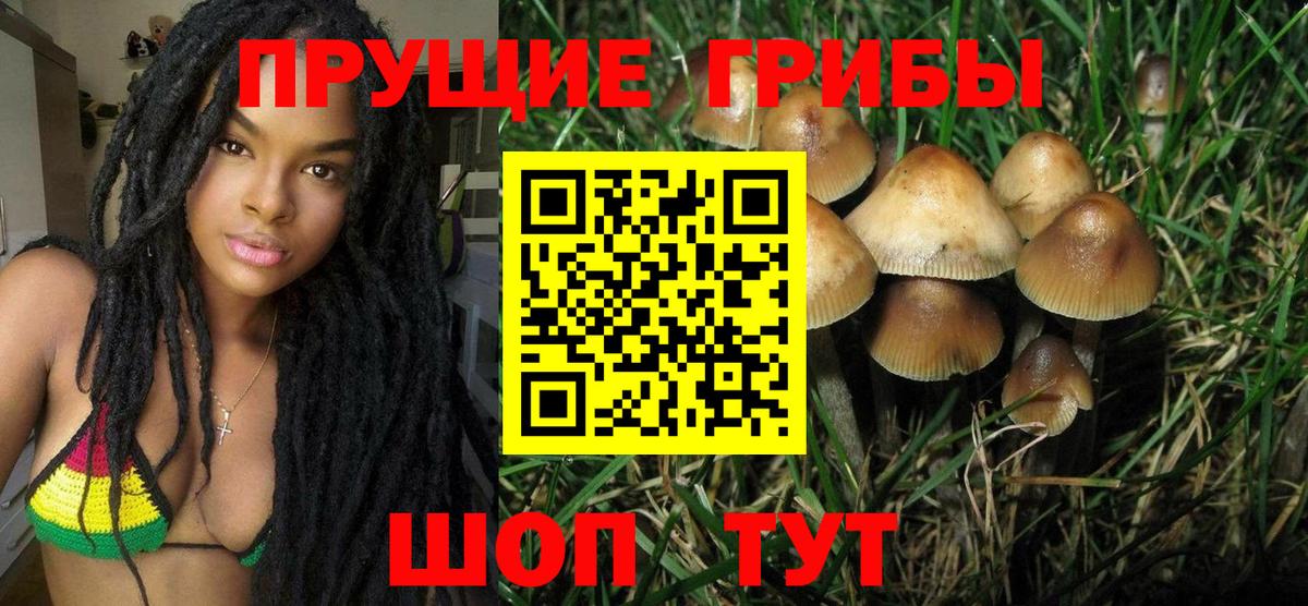 Псилоцибиновые грибы Psilocybine cubensis  Вход с VPN  Калач-на-Дону 