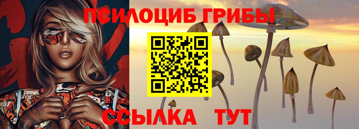 Галлюциногенные грибы мицелий Калач-на-Дону